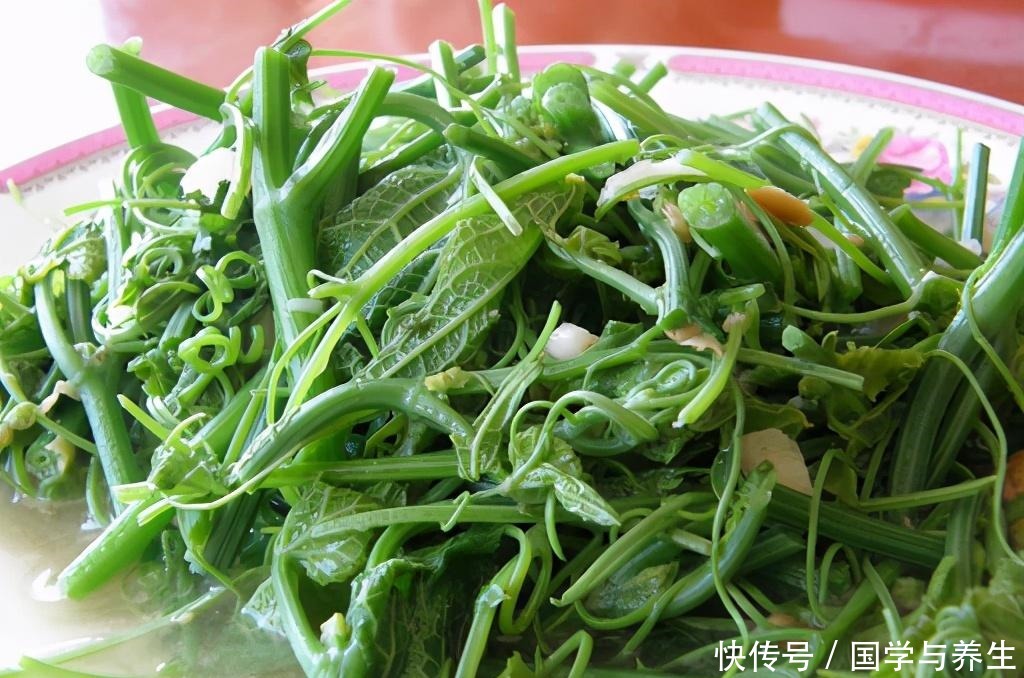 清脆|秋天遇到不手软,口感清脆爽口,瘦身好食材!