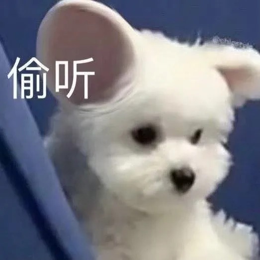 男人|“对不起,我对男人过敏…”哈哈哈真是笋到家了!!