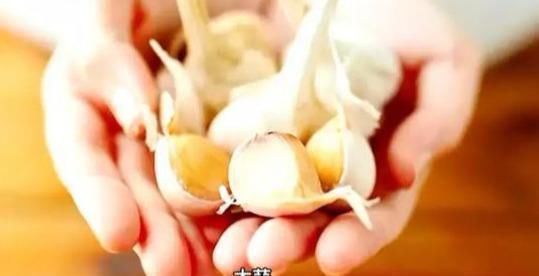 不吃|救命的马齿苋,99的人不知道的作用再不吃就晚了