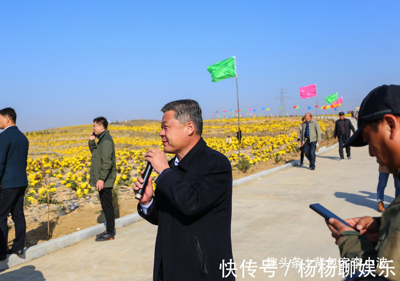 谷赏菊品菊|秋日自驾山东新泰，万亩花海良心谷赏菊品菊