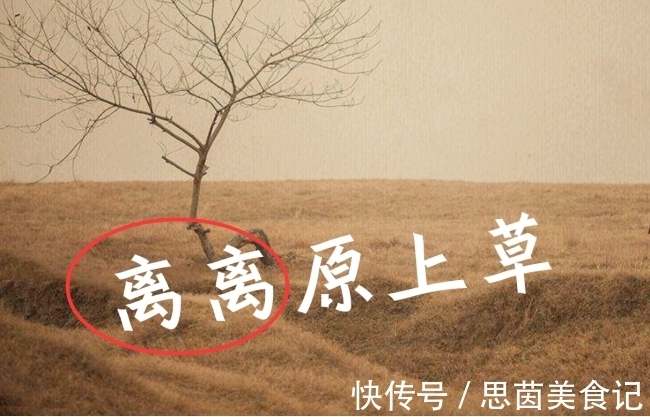 唐宋时期#“离离原上草”背了这么多年,“离离”到底什么意思?多数人不知