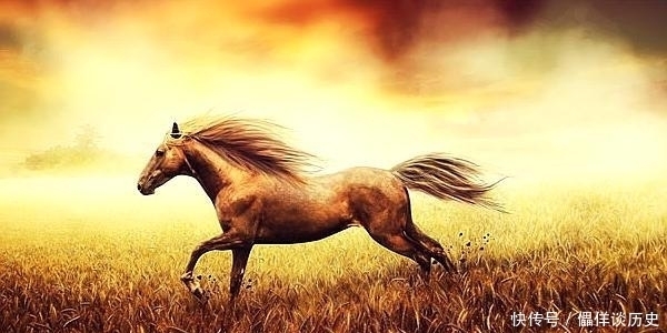 三律|真正城府极深的精明人,都遵行做人三律,难怪八面玲珑,扶摇直上