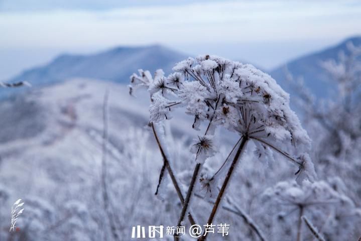 摄友|你在北方的冬天里看雪景，我在南方的冬天里看秋景