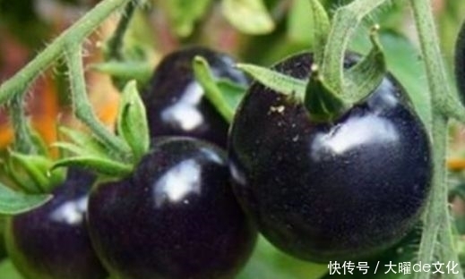 冬天不妨堅(jiān)持吃3種食物，補(bǔ)血活血、延緩衰老，早吃早好！