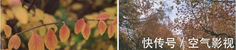 配饰|入秋穿搭如何惊艳四座?快快换上“衬衫”,3个穿搭心机秒成高手