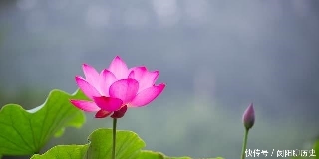 易经!道德经:悟道有什么好处?让你的思想有所觉悟,活得明白