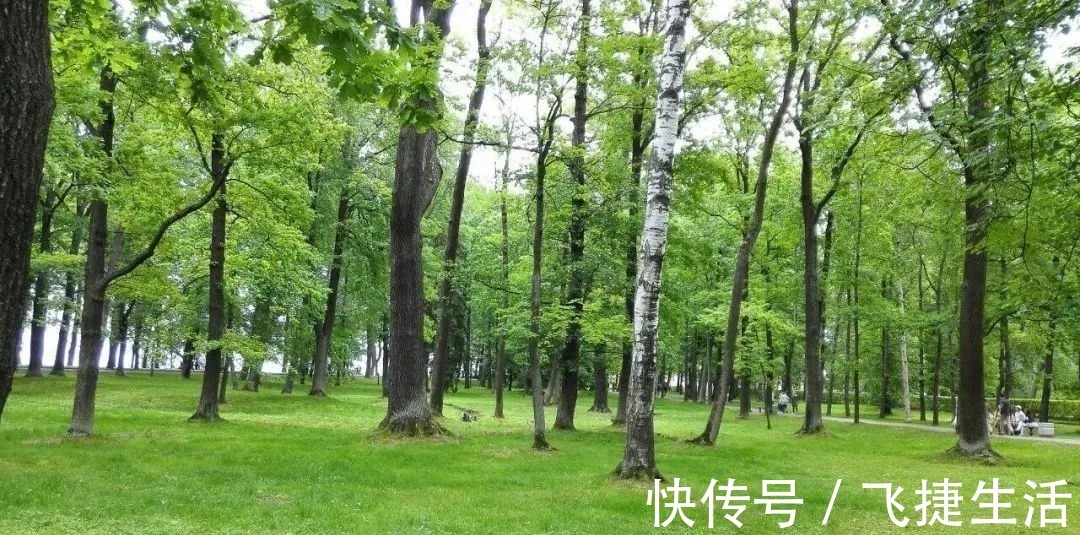 夏日|陆游诗词里的夏天 :柴扉昼掩竹林幽,坐使炎天变素秋