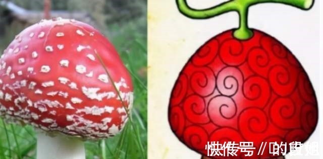 人人果實|海賊王被迫吃果實的四位能力者,實力比肩四皇,還敢和海軍叫板