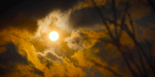 一物一生，吃完萝卜，一生系列就停在这里了吧