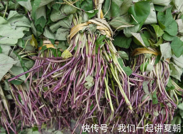 红薯叶|糖尿病“最怕”的4种食物,比胰岛素更管用,常吃血糖不再犯