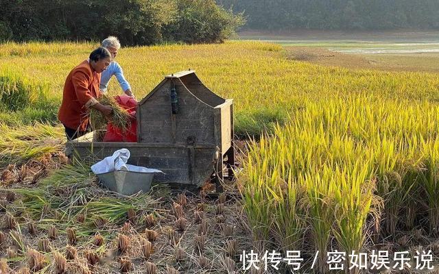 老人|“别带儿子去银行取钱”七旬老人含泪倾诉，这才是育儿真相