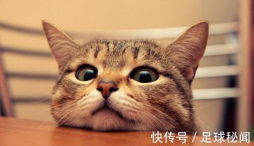 |幽默笑话：老公在猪肉店打工，绞肉的时候不小心断了两个手指