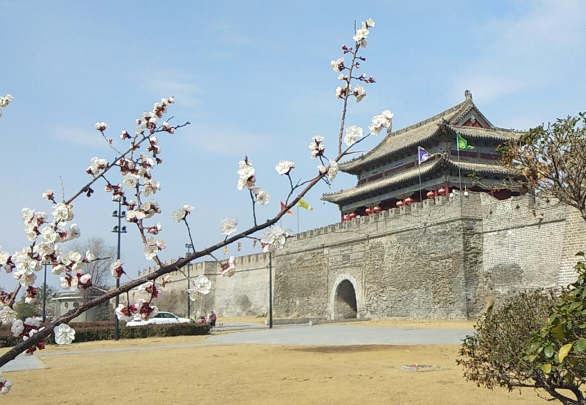 《古城焕春》 作者:田宜坤