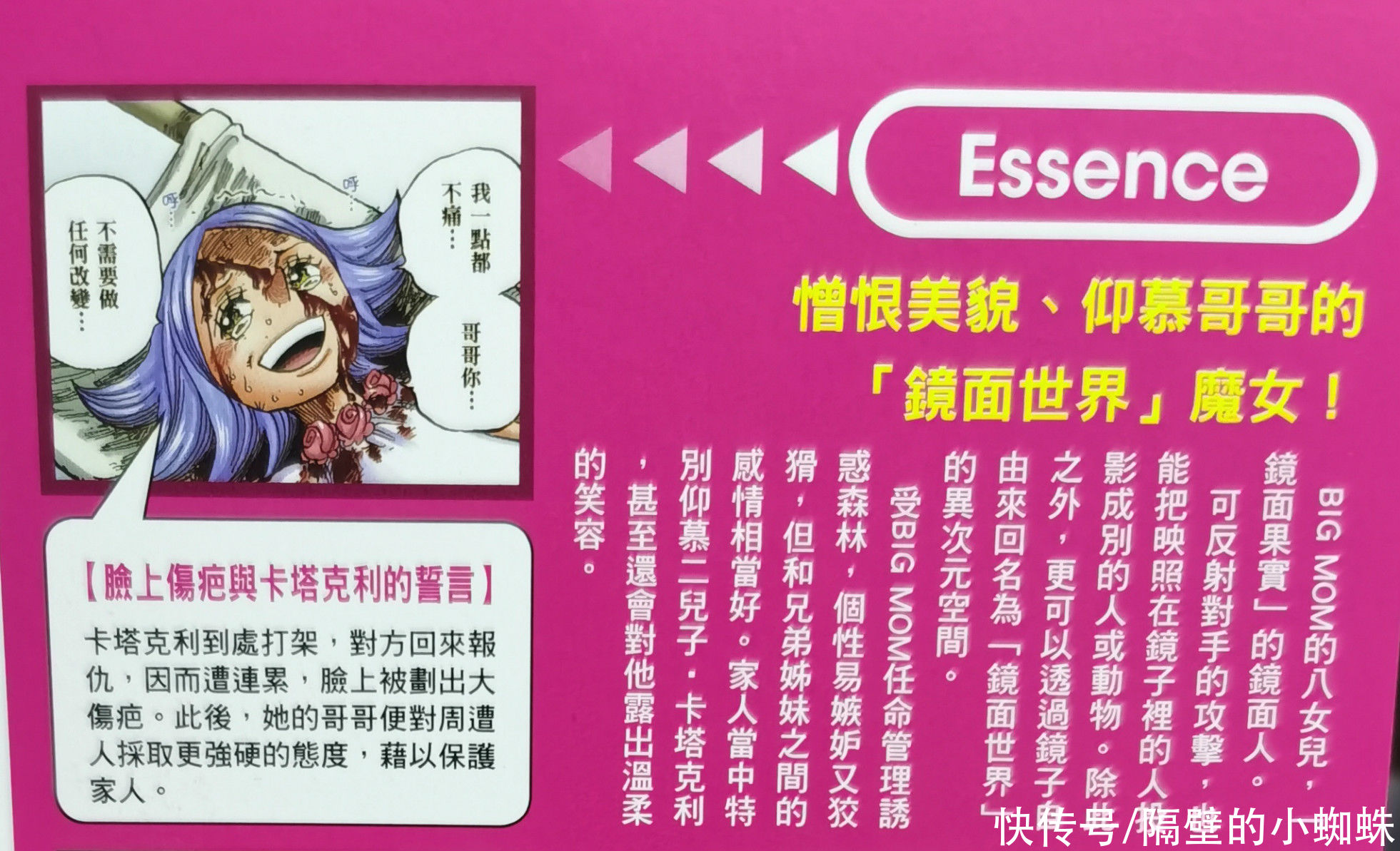 海贼团|海贼王生命卡：布蕾的“人设图”公开，尾田表示她是个可怕的魔女