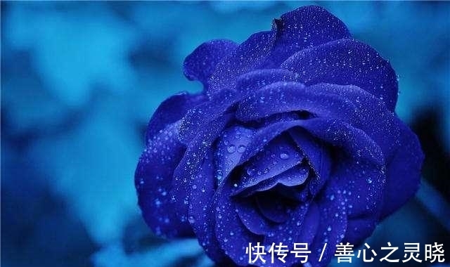 水瓶女|1月，出门遇桃花的4大星座，将与良缘牵手，续写爱情故事