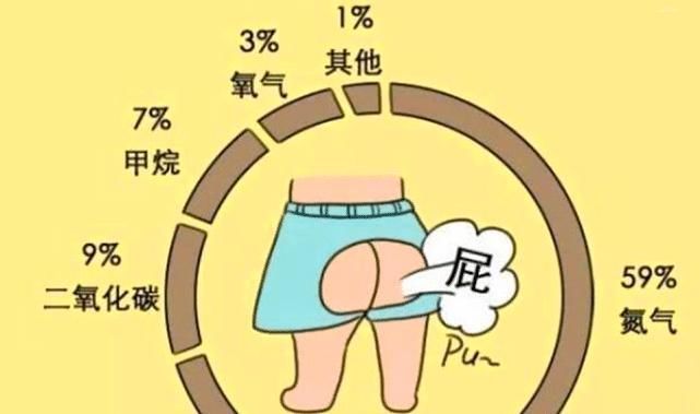 长见识了|俗语“一屁千付药”是啥意思说得有道理吗看完长见识了