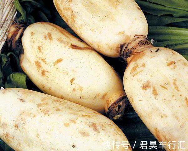 黄曲霉毒素|莲藕是肝病的“发物”？医生：这4物才是真该忌口的，别不当回事