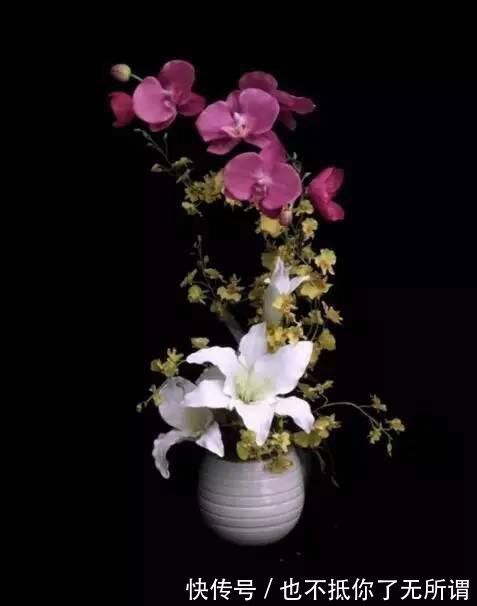 龟甲牡丹|世界上最名贵的花,一盆就是一座房子!