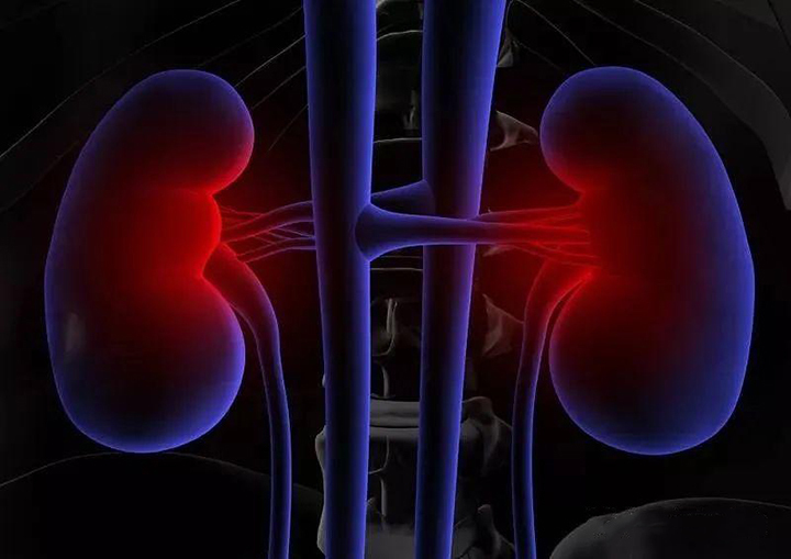 干细胞|TAA Medical统恩医学的干细胞疗法对120例重型狼疮肾炎临床疗效评估