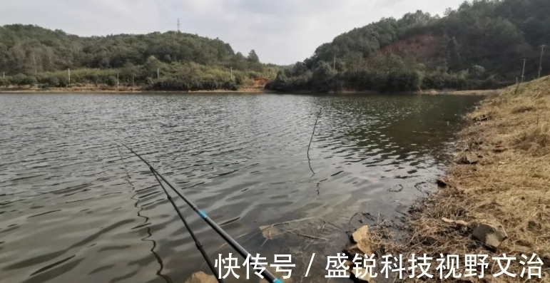 鱼口|为什么你钓的鱼比别人少?就是调漂不对,稍加改变效果就不同