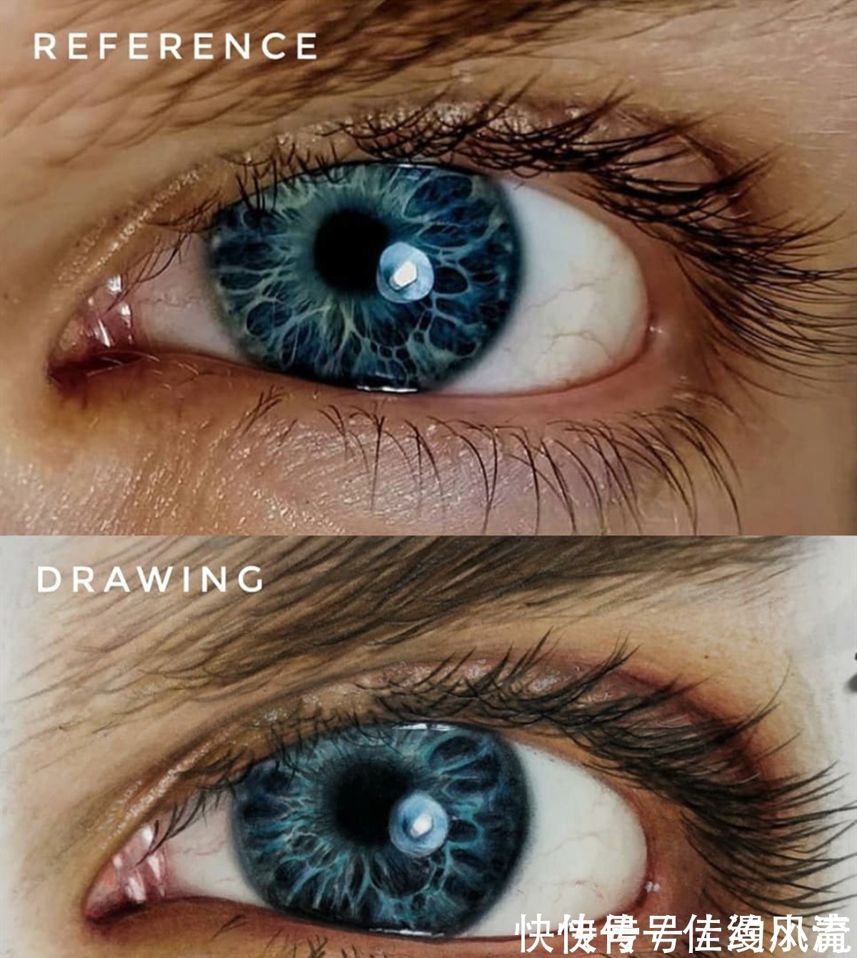 绘画$从手残到大师,画师用自己的经历告诉人们,只要坚持就能实现梦想