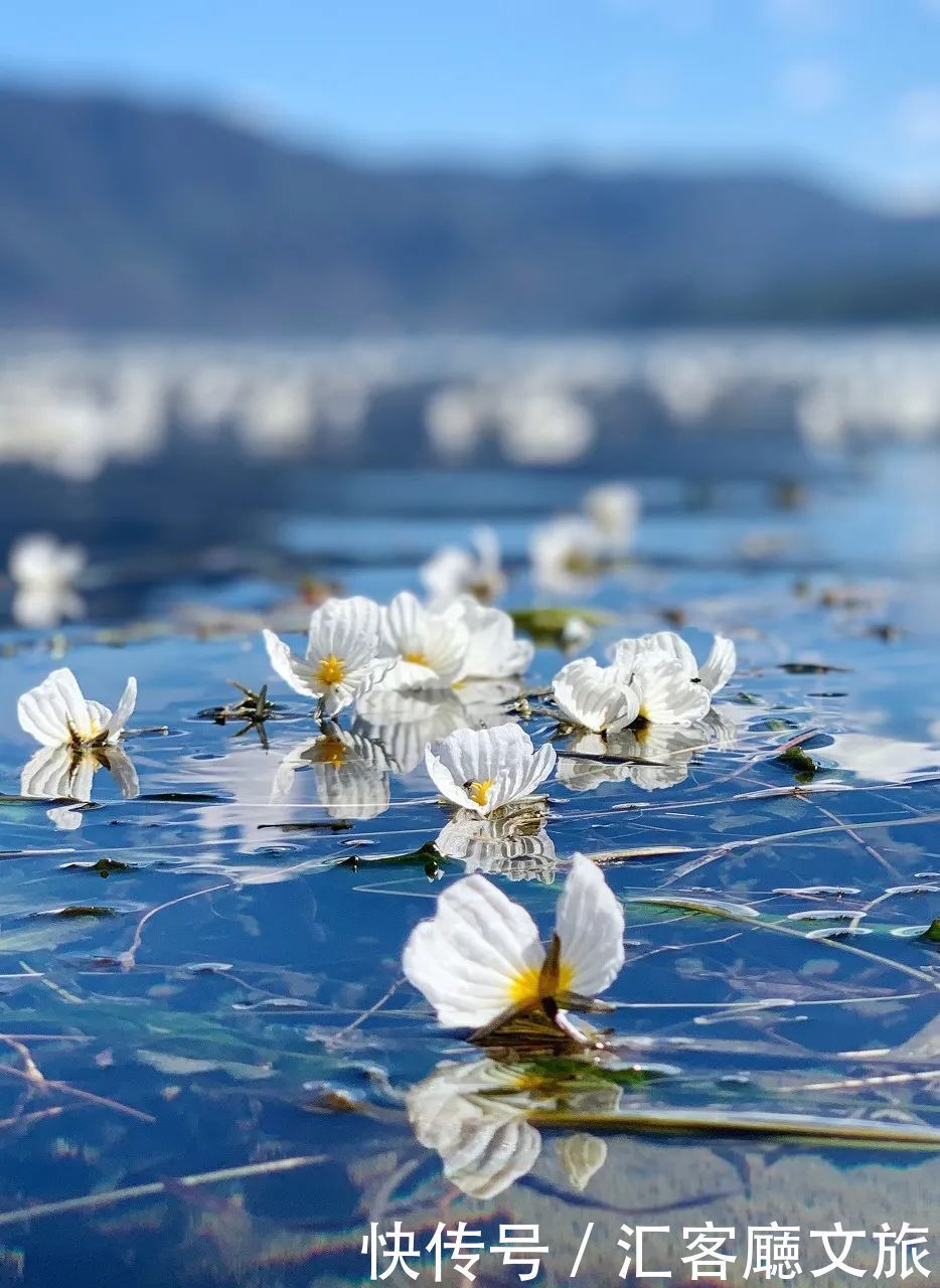 泸沽湖|这个“水性杨花”的地方，又美又好吃，每年有100万人抢着去