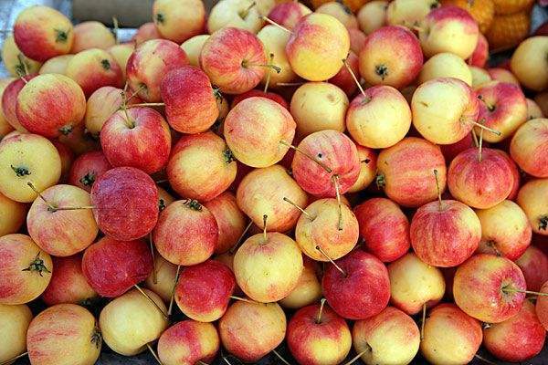 叶三苜蓿齿|适合女性吃的3种食物,补充营养、延缓衰老,身体棒棒哒!