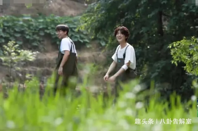 鹿晗178cm,彭昱畅178cm,两人同框后,真实身高差距太明显