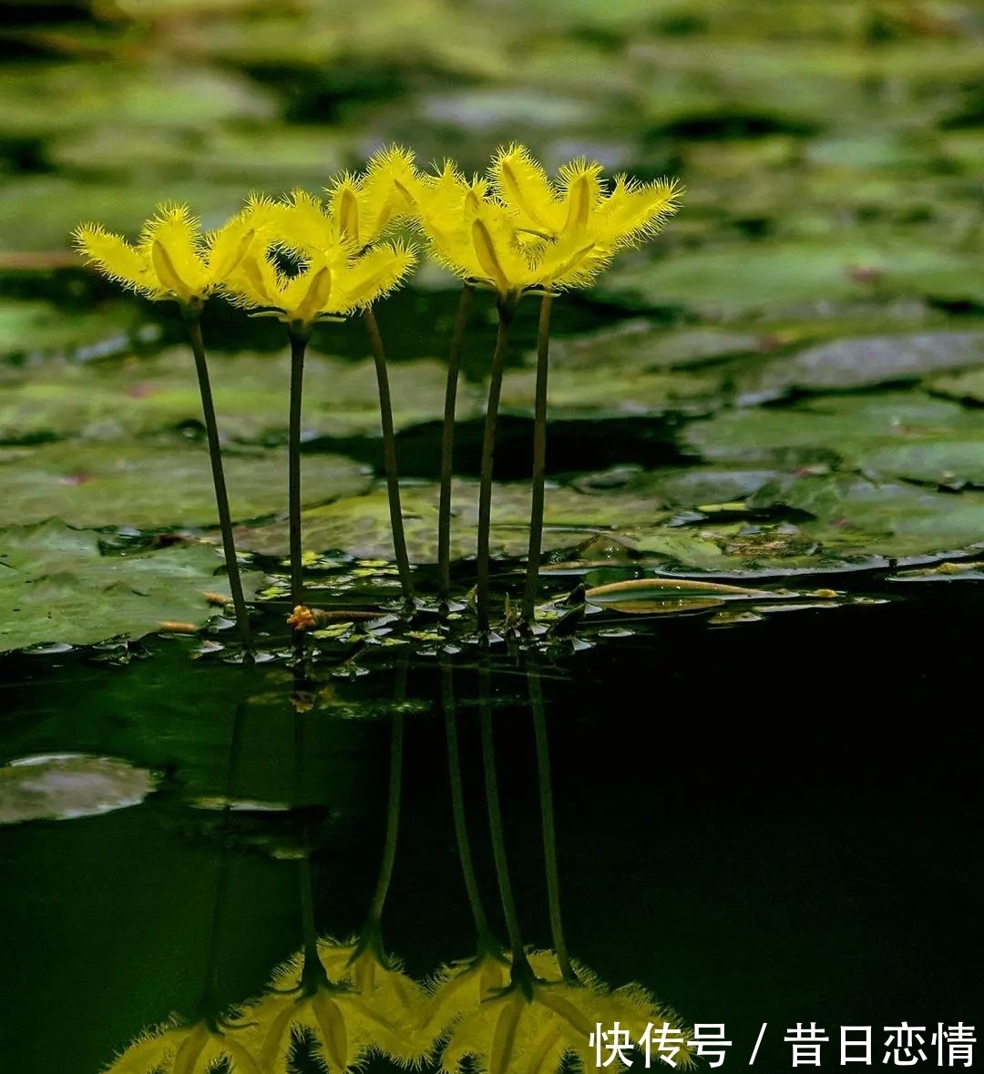 诗句|当年背到头秃的古诗,瞬间读懂了……