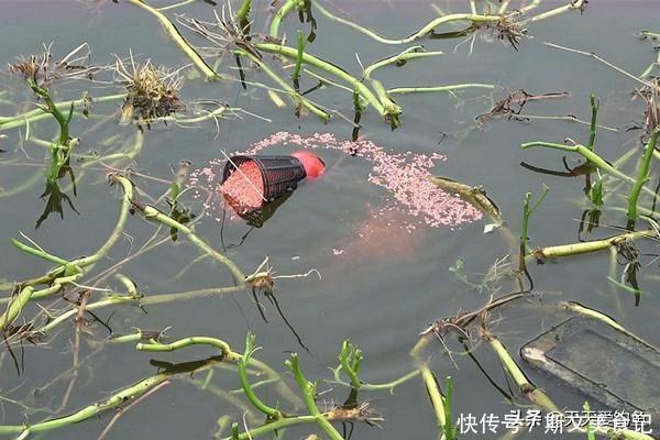 鲫鱼|冬钓大鲫鱼4大杀招,这些招数要常用,钓到鲫鱼个头更大