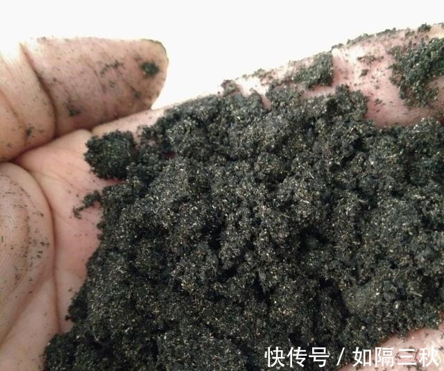 家庭养花,土从哪里来3个方法,不花一分钱,就能自制营养土了!