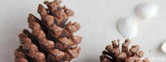 施肥|爷爷捡回3种“小东西”来养花,往土里埋“1点”,2年不用施肥!