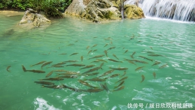 野钓中,子线的长短的选择,往往和你的渔获成正比例