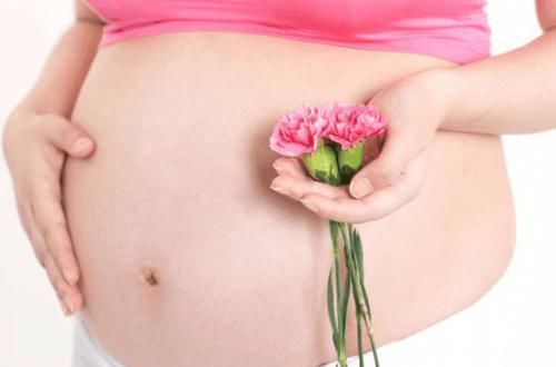 卵子|决定宝宝性别的到底在那一刻 别瞎猜, 你想知道的都在这