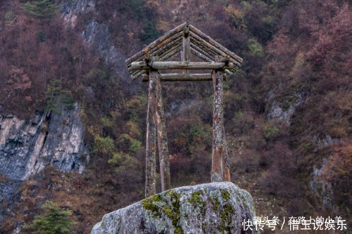 秦岭山中藏着一片草原,牛羊成群却不见主人放养,风景不输新疆