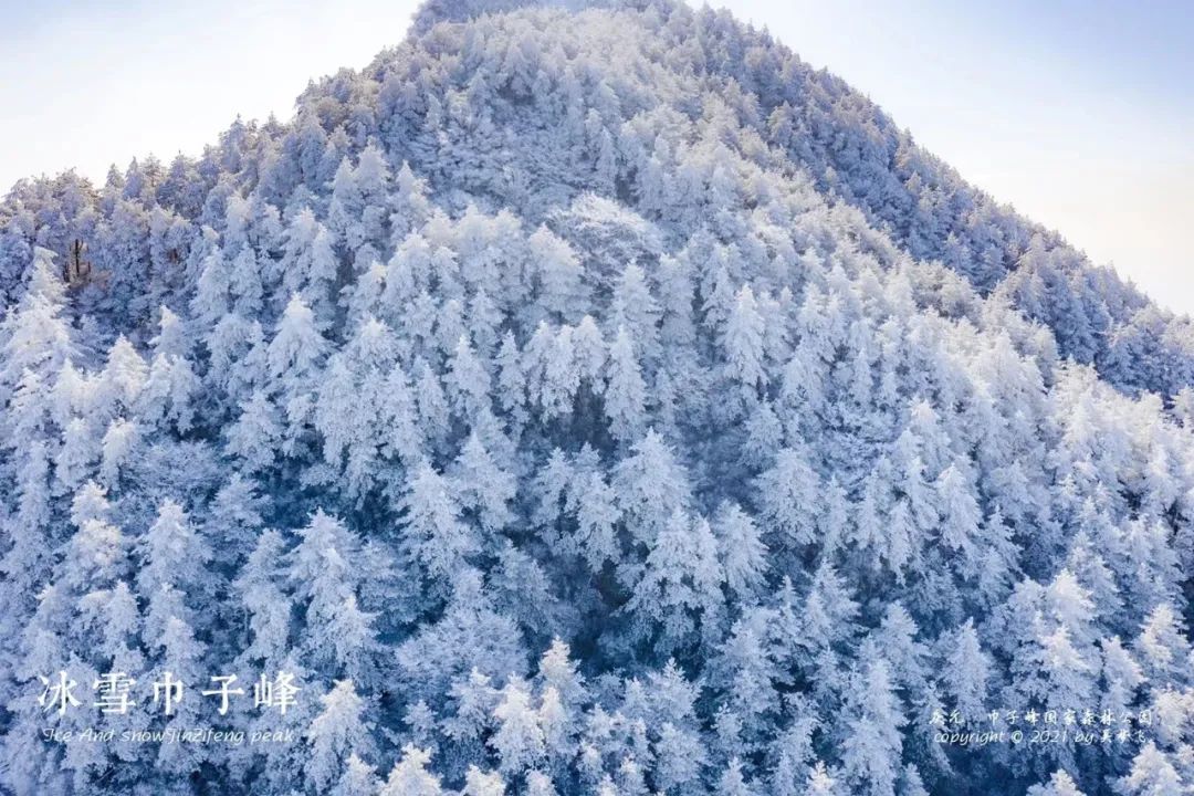 庆元县|不是初雪，胜似初雪，庆元雾凇，宛若仙境！