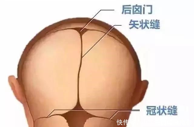 宝出生以后|囟门闭合的时间,对大脑发育有什么影响如果是第三种就该注意了