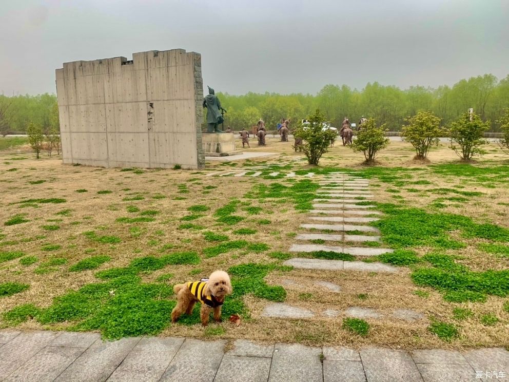 老年|打卡黄天荡湿地：古战场的遗址