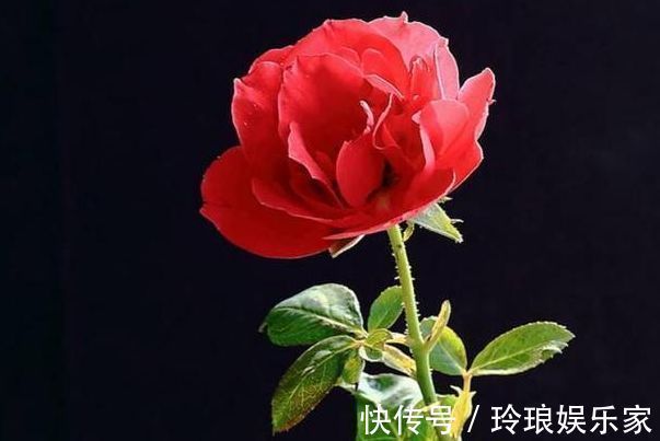 文曲之星|哪个时间出生的孩子都是“文曲之星”孝顺懂事,一生没有灾难!