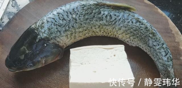 焖鱼|草鱼别下锅炸了,教你一个新吃法,嫩滑味美好吃,3斤出锅不够吃