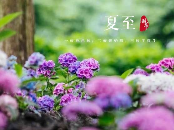 阳光|今日夏至，梅雨暂歇，阳光回归，热量持续积蓄中……