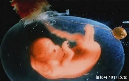 大量性|为胎儿健康着想,孕妈即使再喜欢也不要触碰这些了