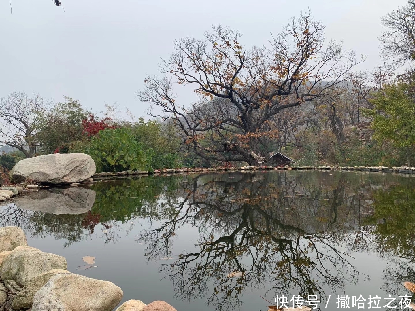 深处|泰山深处有一个美丽的小山村