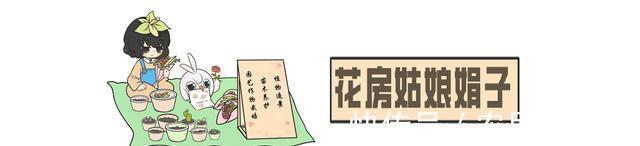 新手选这些“普货”多肉来养,好养又省心,养出状态来也很漂亮