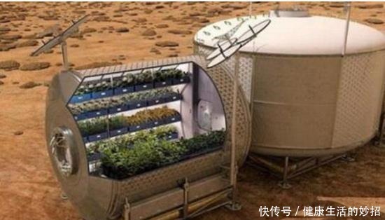 真技术活!在没有空气和水的太空如何种粮种草!