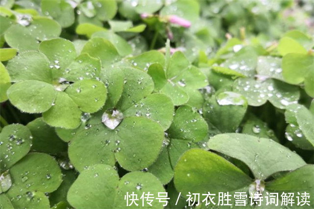 白露|宋人丘葵的白露诗,一岁露从今夜白,借用杜甫名句,却更苍茫沉痛