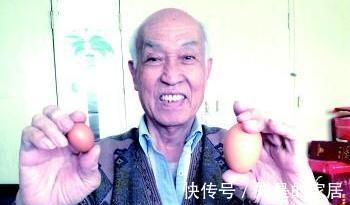 胆固醇含量|高血压可以吃鸡蛋吗,吃了会使血压升高吗,为了健康,了解下