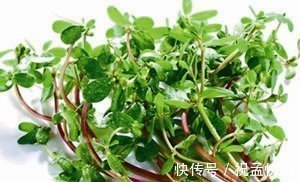 野菜|不管男女過了四十多吃6種野菜，能夠補充身體營養，幫助增強體力
