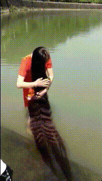 |搞笑GIF:女孩出门一定要注意 别被人偷走东西了都不知道