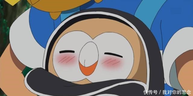 神奇|神奇宝贝超稀有宝可梦,画皮特性木木枭,小智离冠军最近的一次